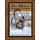 Dr. Mike's Horsemanship Ground Steps to Success (Paperback): Michael Guerini Phd