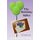 The Birthday Killer - Book one in the Sam and Janet Cozy Mystery Series (Paperback): W Kay Lynn