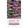 Asante Twi-English/English-Asante Twi Dictionary & Phrasebook (Paperback): Editors of Hippocrene Books