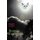 Between Two Worlds (Paperback): Mairi Craw