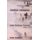 Conflict Unending - India-Pakistan Tensions Since 1947 (Paperback): Sumit Ganguly