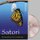 Satori DVD - Metamorphosis of an Awakening (Digital): John David