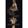 The Frayed Ends of Sanity (Hardcover): Dunstan D Arlington