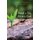 Dead to Sin, Alive to God (Paperback): Stuart C. Smith