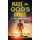 Made in God's Image 31-Day Devotional - Volume 1 - Cultivating a Divine Perception (Paperback): C Orville Mcleish