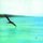Chick Corea - Return to Forever: Where Have I Known You / No (CD): Return To Forever, Chick Corea