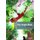 Dominoes: One: The Jungle Book (Paperback, 2nd Revised edition): Rudyard Kipling