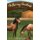 Gathering Goodness - Faith, Family, Friends & Horses (Paperback): Linda Amick Algire