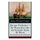 Der rote Freibeuter + Die Wassernixe oder der Streicher durch die Meere - Die beliebtesten Seeabenteuer: Abenteuerromane des...