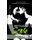 Settling Score (Paperback): Fallen Kittie