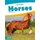 Animals: Horses (Hardcover): Nick Rebman