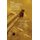 The Accidental Aphorist - A Curiosity Cabinet of Aphorisms (Hardcover): Phil Cousineau
