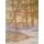 Walter Launt Palmer (Hardcover, illustrated edition): Maybelle Mann
