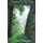Hallowed Be Thy Name (Paperback): Sonya T. Anderson