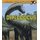 Diplodocus (Little Paleontologist) (Paperback): Sally Lee