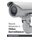 Recent Advances in Video Surveillance (Hardcover): Elizabeth Robins
