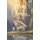 Wings of Olympus (Paperback): Kallie George