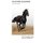 Black Horse, Black Rider (Paperback): D. Forrester Newhall