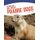 We Need Prairie Dogs (Paperback): June Smalls
