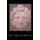 Nemesis - A Novel of the Spartan Gylippos and the Battle of Syracuse (Paperback): Jon Edward Martin