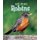 Robins (Paperback): Robin Nelson