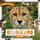 Grassland Food Webs (Hardcover): Harriet Brundle