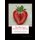 The Illustrated Strawberry Culturist - The History, Field and Garden Culture of Strawberries (Paperback): Andrew S Fuller