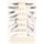 You Feel It Just Below the Ribs (Paperback): Jeffrey Cranor, Janina Matthewson