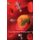 Nanotechnology (Paperback): Noah Berlatsky