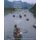 Vietnam - Journeys of Body, Mind, and Spirit (Paperback): Van Huy Nguyen, Laurel Kendall