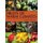 Fruits of Warm Climates (Paperback): Julia F Morton