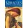 Miracles and Stories of God's Acts Today (Paperback, New edition): Hope Price, Geoff Price