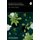 Annual Plant Reviews - The Plant Hormone Ethylene V44 (Hardcover, Volume 44): M.T. McManus