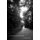 Long Dark Road - Bill King and Murder in Jasper, Texas (Paperback): Ricardo C. Ainslie