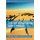 The International Arms Trade (Hardcover): R Stohl
