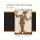 Foundations of Object-Oriented Languages - Types and Semantics (Paperback): Kim B Bruce