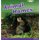 Bug Club Guided Non Fiction Reception Pink B Animal Homes (Paperback): Sarah Russell