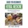 Herbal Medicine Guide For Beginners - All you need to know about how to use Medicinal Herbs and Natural Remedies for Self...