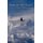 Song of the Egret - Haiku Poems (Paperback): M.D. Milton D. Heifetz