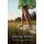 Falling Home (Paperback): Karen White