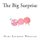 The Big Surprise (Paperback): Haleigh Wheeler