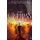 The Guardians (Paperback): Rena Marin, S C Storm