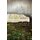 In the Light of Humane Nature - Human Values, Nature, the Green Economy, and Environmental Salvation (Hardcover): Arthur B....