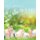 All About Calm (Paperback): Kim E. Woods