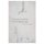 Cultural Evolution in the Digital Age (Paperback): Alberto Acerbi