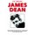 The Timeless James Dean (Paperback): Terry Cunningham