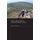 Death and Dying in Contemporary Japan (Paperback): Hikaru Suzuki