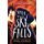 When The Sky Falls (Paperback): Phil Earle