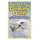 Graceful Gliding Gulls; A Kids Picture Book with Fun Facts about Seagulls (Paperback): Faye Elliott