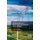 Fundamentals of Wind Farm Aerodynamic Layout Design (Paperback): Farschad Torabi